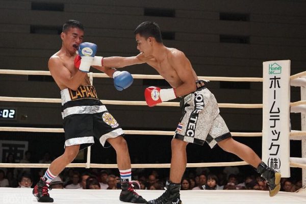 ประวัติและจุดเริ่มต้นของมวยสากลในประเทศญี่ปุ่น จุดเปลี่ยนสำคัญสู่มหาอำนาจกำปั้นแห่งเอเชีย