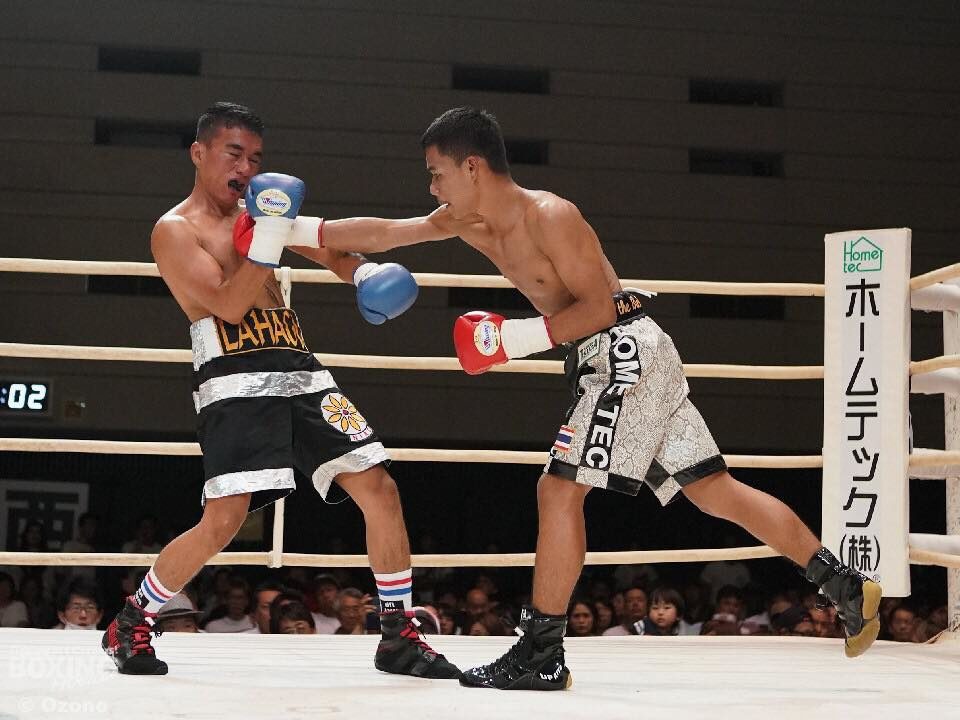 ประวัติและจุดเริ่มต้นของมวยสากลในประเทศญี่ปุ่น จุดเปลี่ยนสำคัญสู่มหาอำนาจกำปั้นแห่งเอเชีย